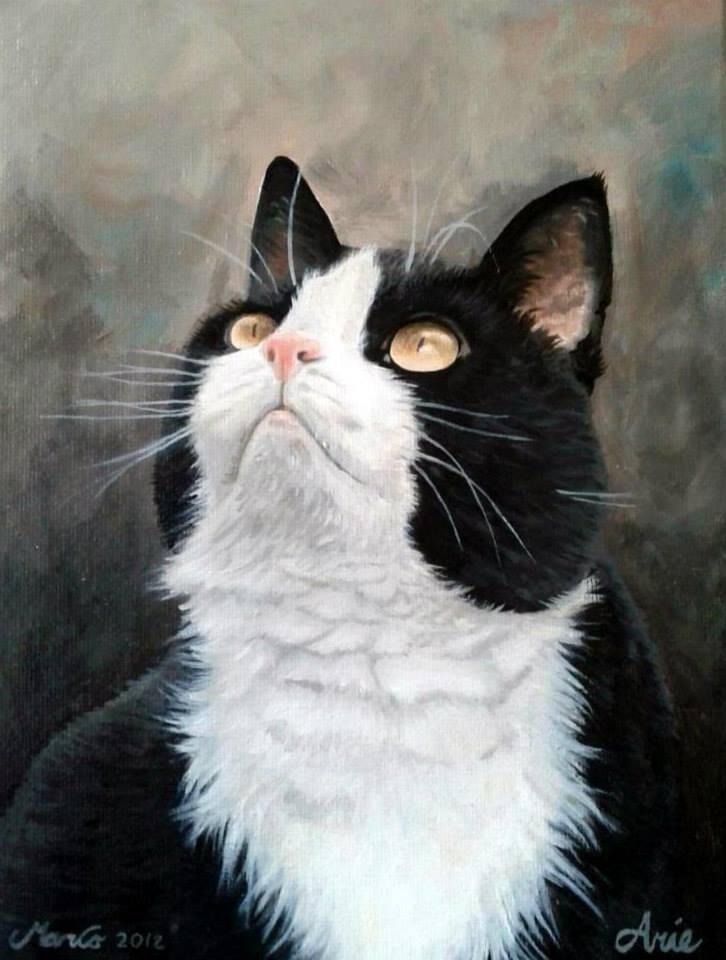 Afbeelding expositie